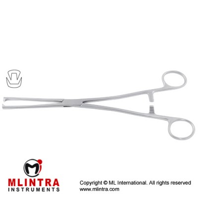 Museux Tenaculum Forcep 2 x2 Teeth Stainless Steel, 24 cm - 9 1/2" Jaw Size 8 mm Museux Tenaculum Forcep 2 x2 Teeth Stainless Steel, 24 cm - 9 1/2" Jaw Size 8 mm